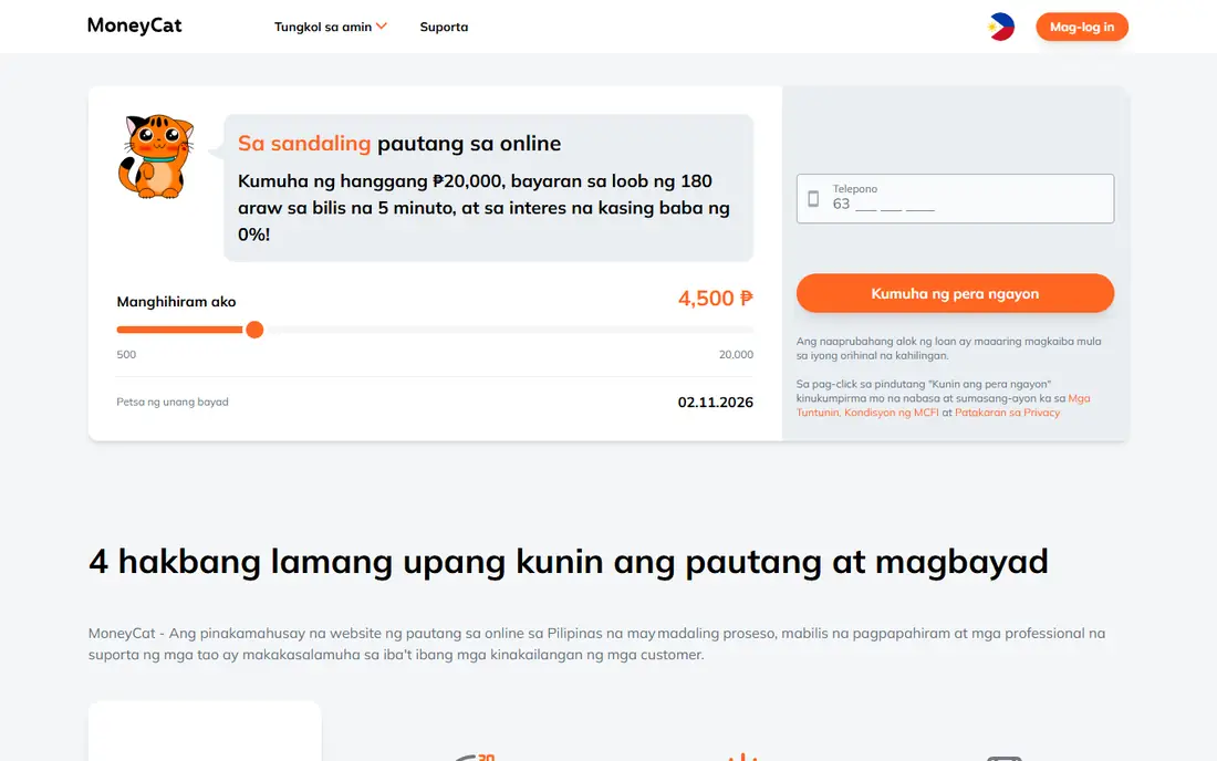 MoneyCat website
