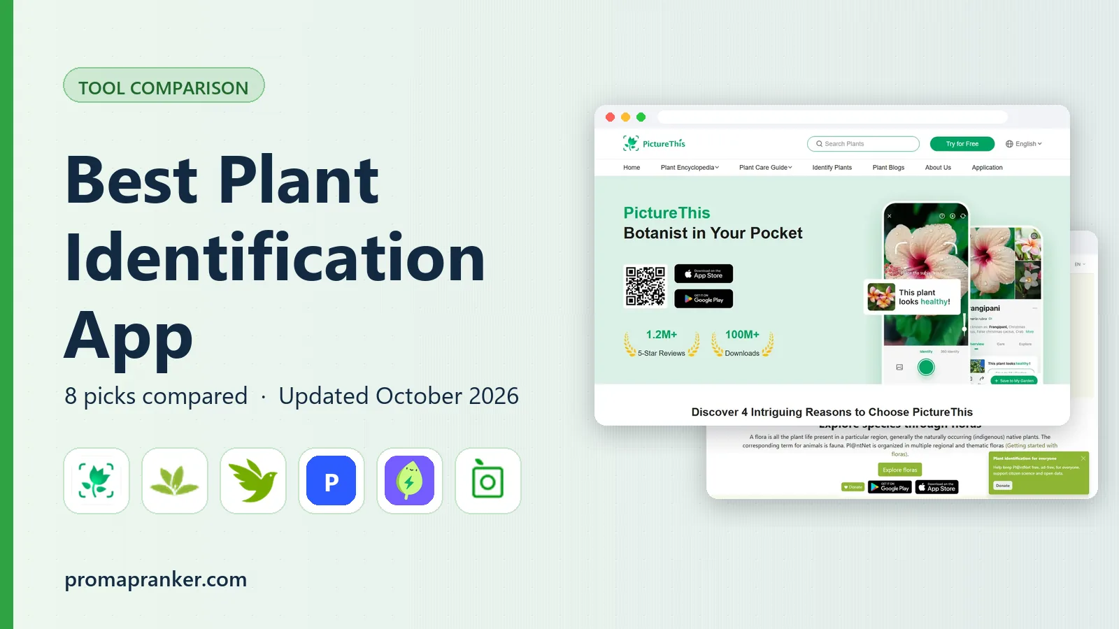 Best Plant Identification App in 2026