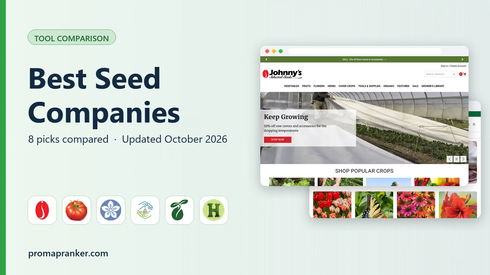 Best Seed Companies in 2026