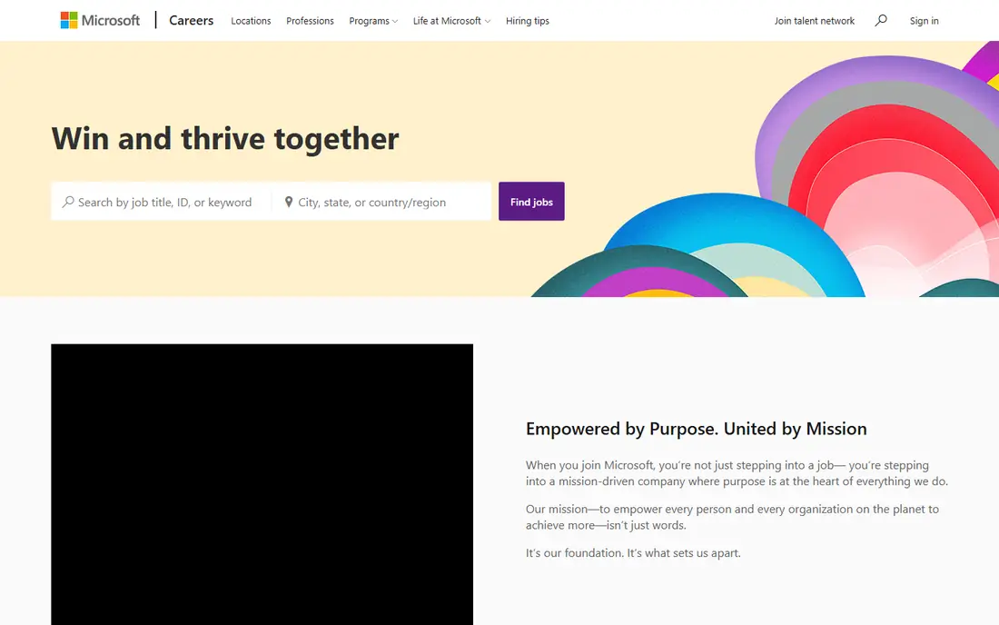 Microsoft website