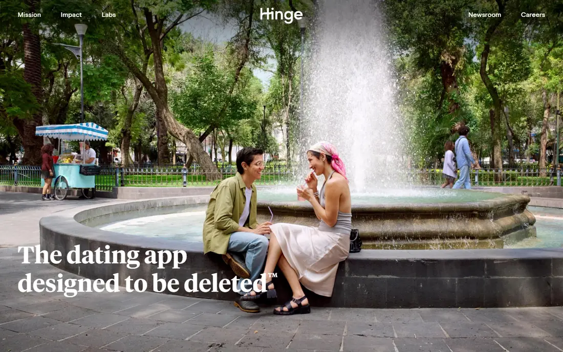 Hinge website