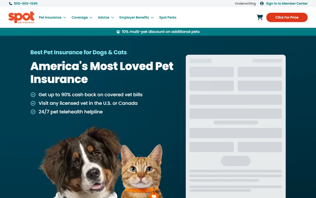 Spot website