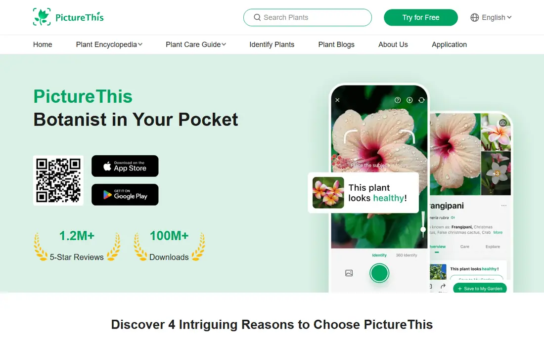 PictureThis website