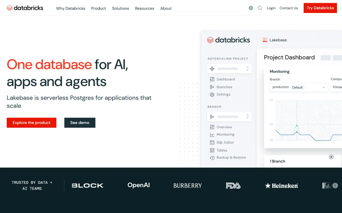 Databricks website
