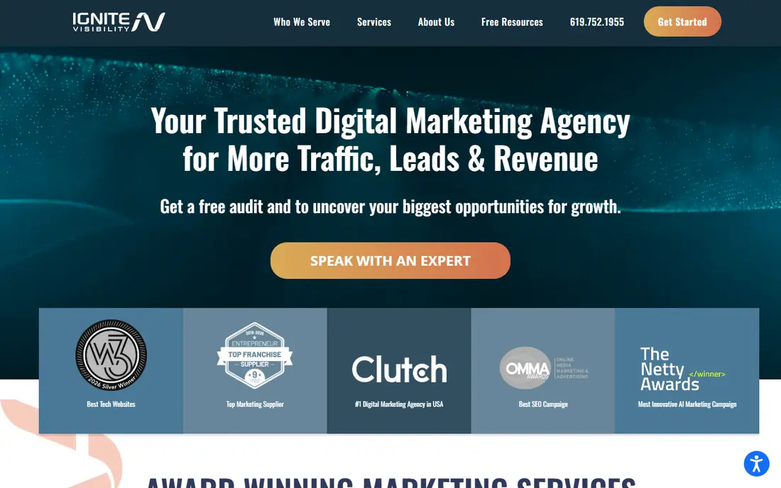 Ignite Visibility website