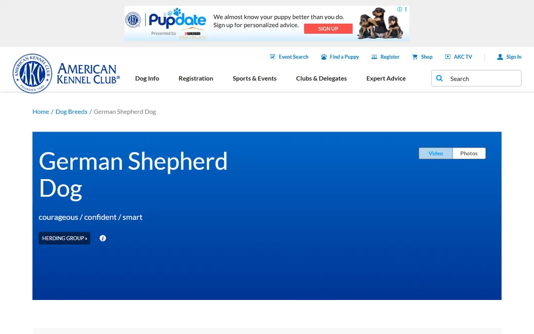 German Shepherd website