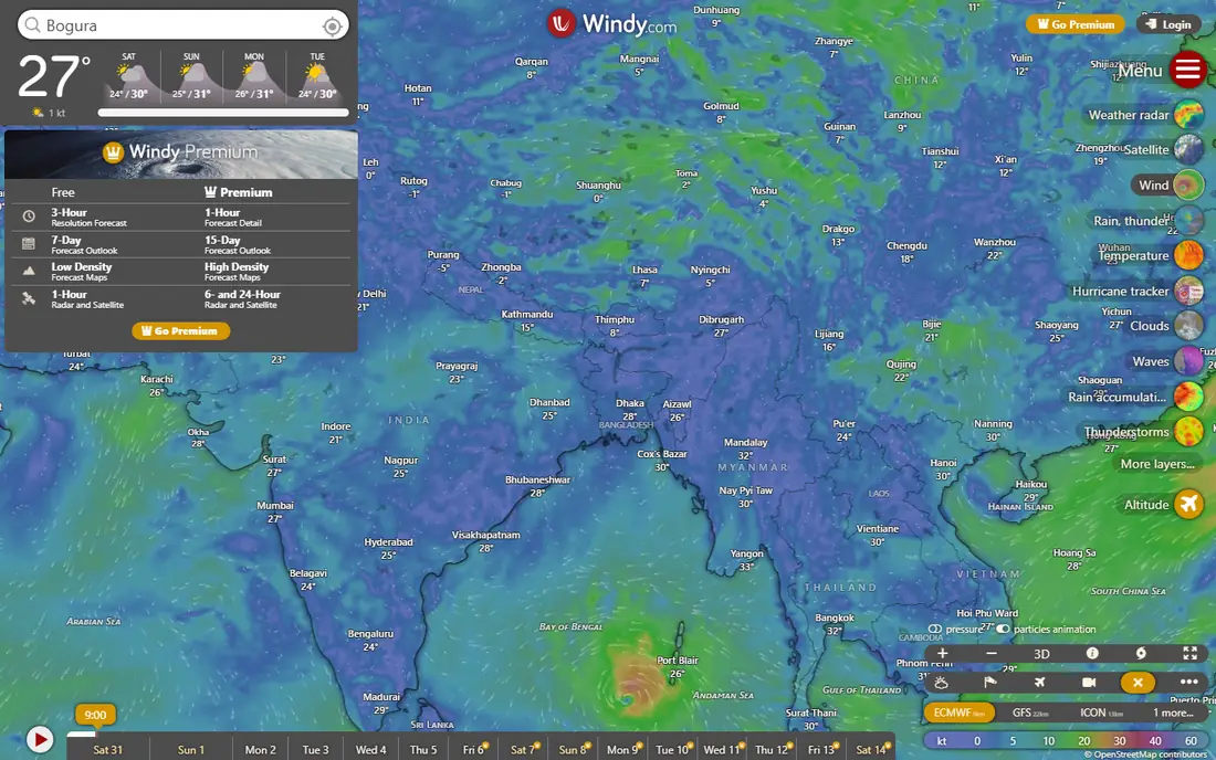 Windy website
