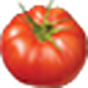 Burpee logo