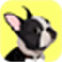 EveryDoggy logo