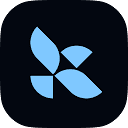 LangChain and LangGraph logo