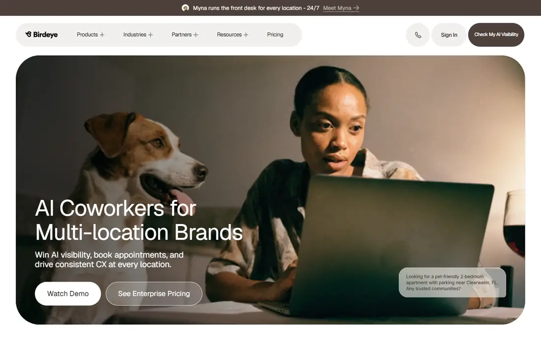 Birdeye website